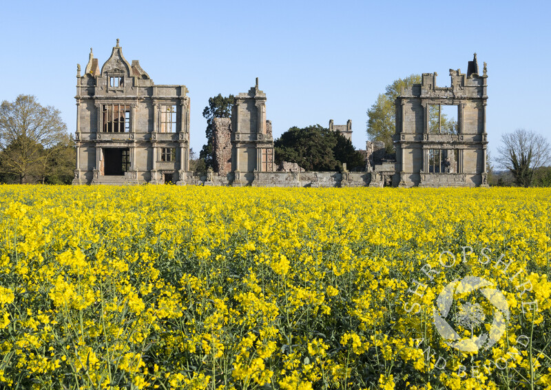 Moreton Corbet Castle, a very romantic English heritage castle in Shropshire